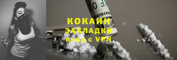 дмт Арсеньев