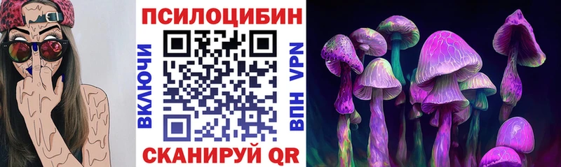 Купить где  Кадников  Псилоцибиновые грибы MAGIC MUSHROOMS 